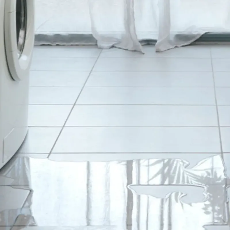Appliance Leak Cleanup in Dowagiac, MI