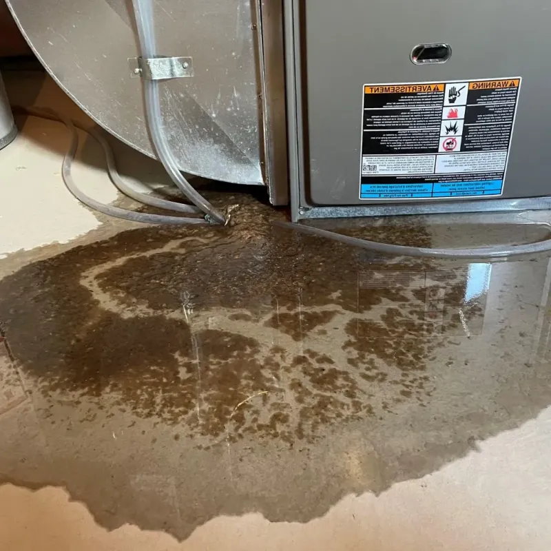 Pipe Burst and Leak Restoration in Dowagiac, MI