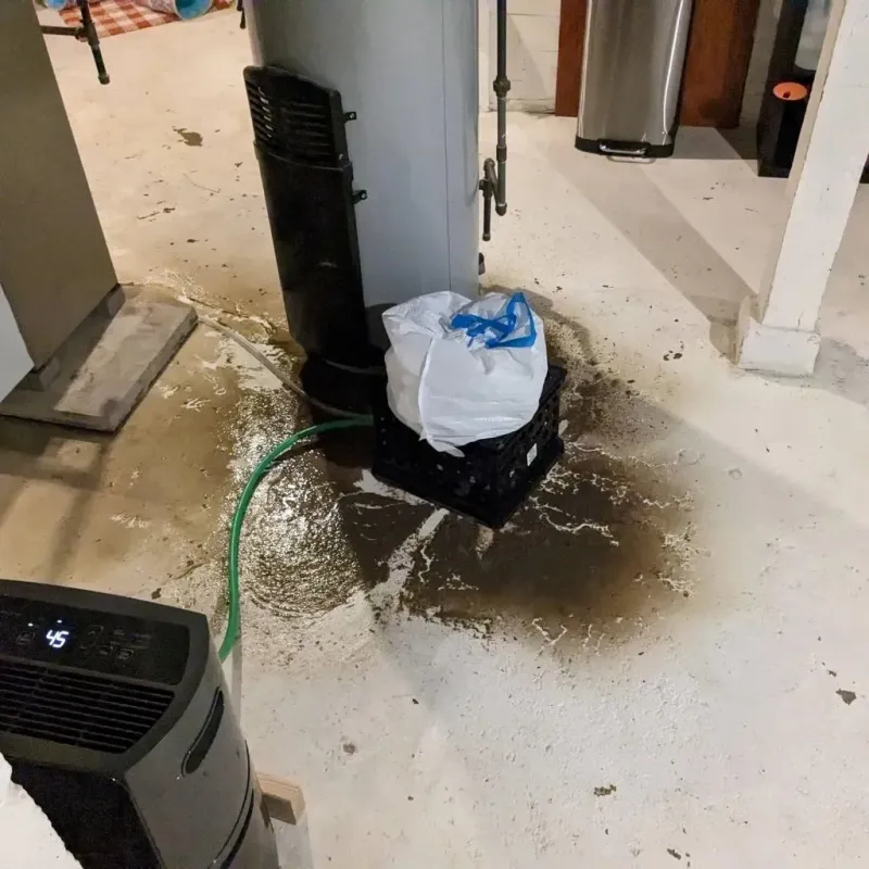 Sewage Backup Cleanup Service in Dowagiac, MI